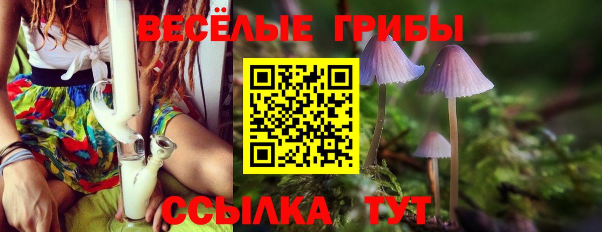 Галлюциногенные грибы мухоморы  Галлюциногенные грибы MAGIC MUSHROOMS  Вход с VPN  Кстово 